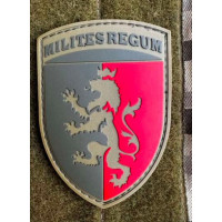 Патч ПВХ PiFi (Піфі)  Шеврон 24 ОМБр. 24-та Окрема Механізована Бригада