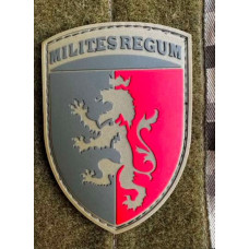 Патч ПВХ PiFi (Піфі)  Шеврон 24 ОМБр. 24-та Окрема Механізована Бригада