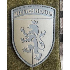 Патч ПВХ PiFi (ПИФИ) Шеврон 24 ОМБр. 24-ая Отдельная механизированная бригада койот