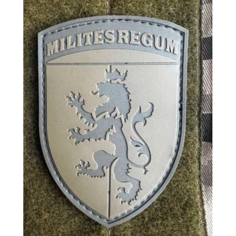 Патч ПВХ PiFi (ПИФИ) Шеврон 24 ОМБр. 24-ая Отдельная механизированная бригада койот