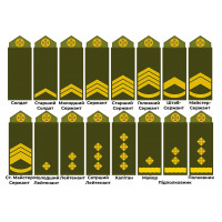 Нашивка Погон олива/піксель