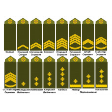 Нашивка Погон олива/піксель